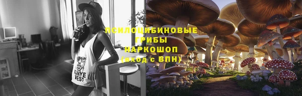 a pvp Коряжма