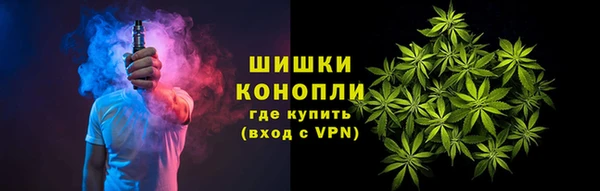 дживик Костерёво