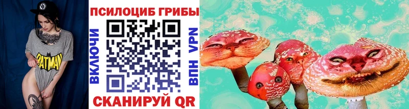 Купить  Пласт  Галлюциногенные грибы ЛСД 