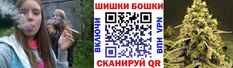 Бошки Шишки план  Купить где  Пласт 